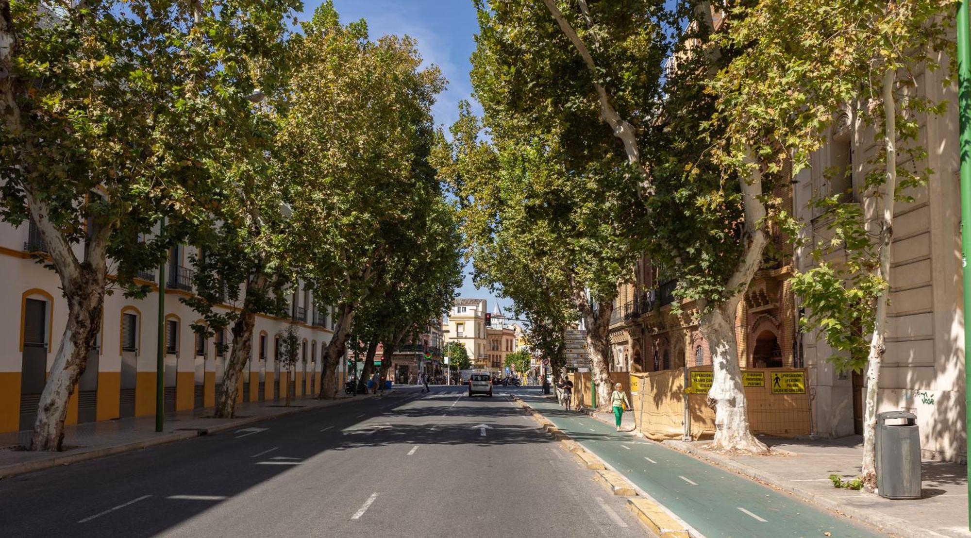 Charming 2 Bedroom At Center By Cityzen Sevilla